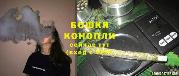 дурь Бронницы