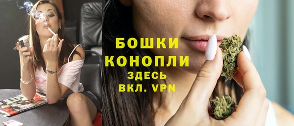 дурь Бронницы