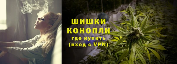 дурь Бронницы