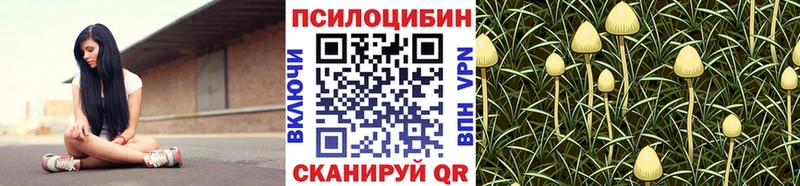 Галлюциногенные грибы Cubensis  Киреевск 